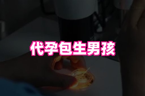 合肥助孕网站 4
